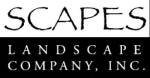 SCAPES LANDSCAPE logo