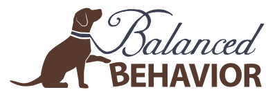 Balanced Behavior logo