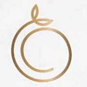 OC Esthetique and Spa logo