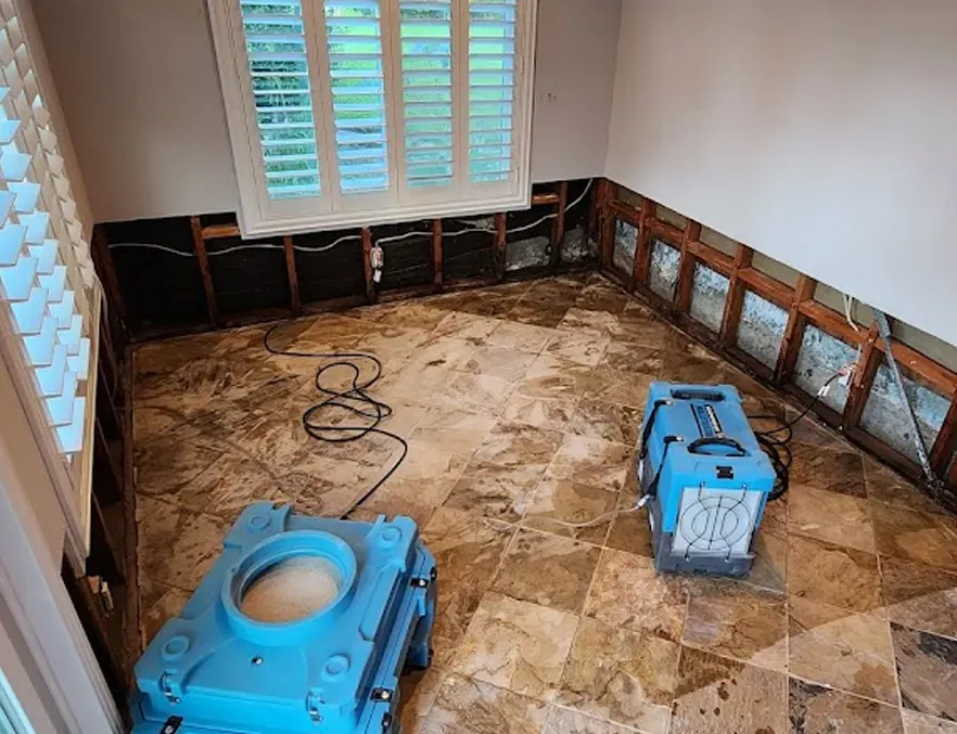 Green Restoration Solutions
