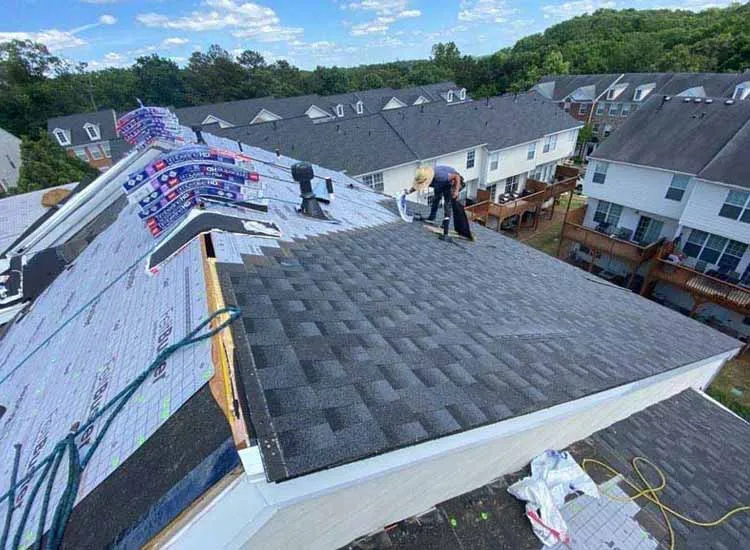 Dr. Roof