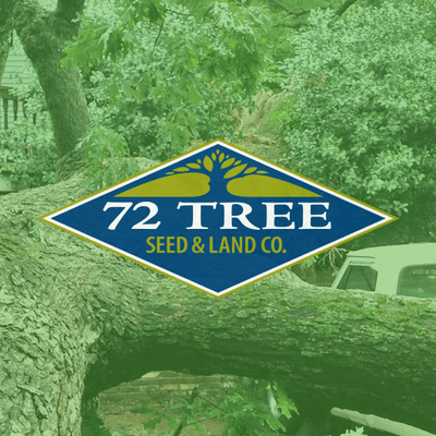 72 Tree logo
