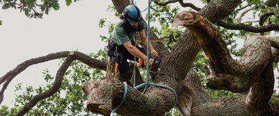 S and S Complete Tree Service LLC logo
