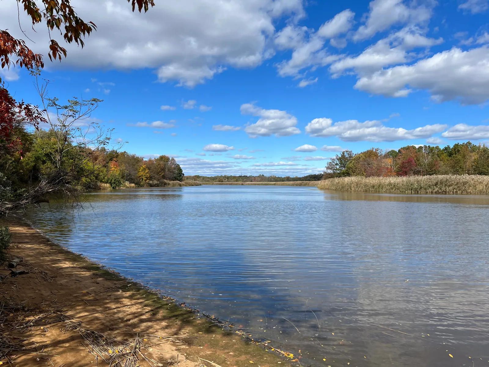 Winding River Realty
