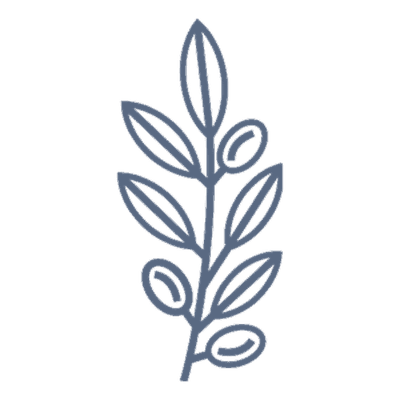 Pax Chiropractic logo