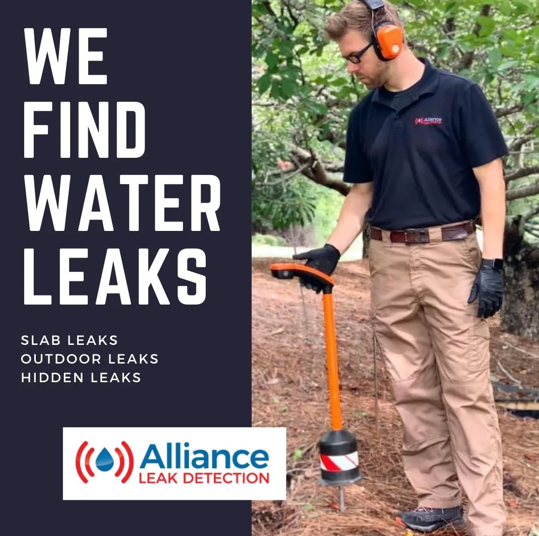 Alliance Leak Detection