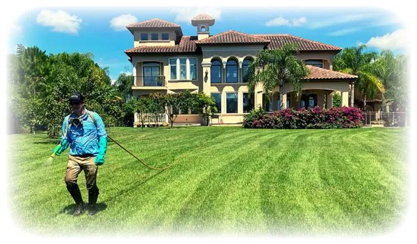 MyOrganicTurf.com