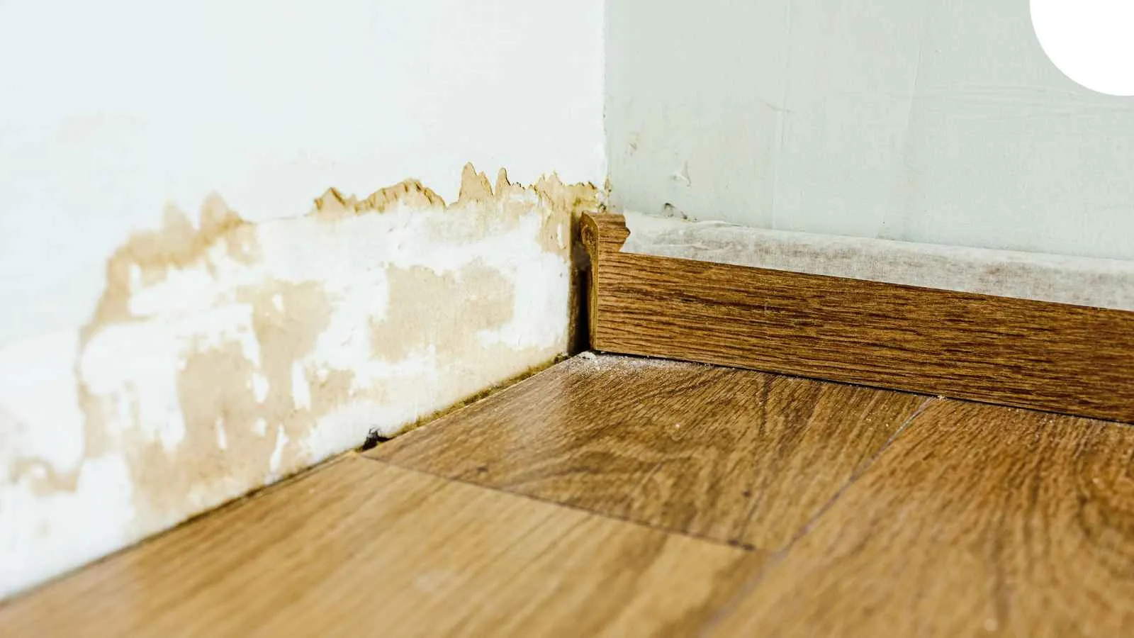Chula Vista Water Damage Restoration