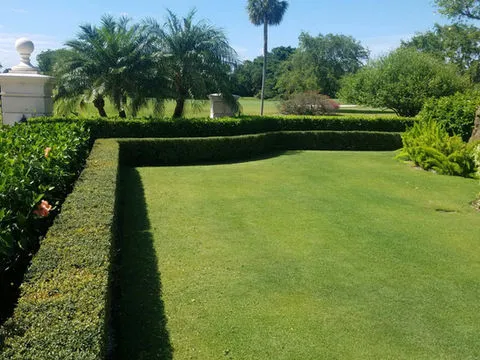 Amaya Landscaping