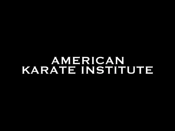 American Karate Institute™