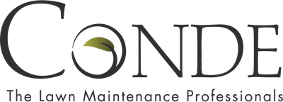 Conde Landscaping logo