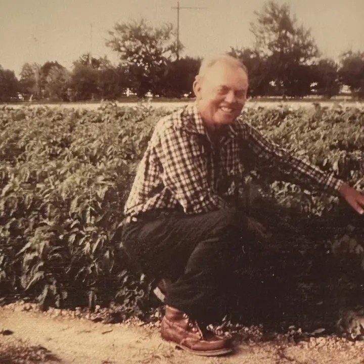 The Berry Farm