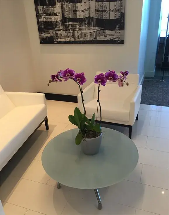 Tropical Plant Leasing