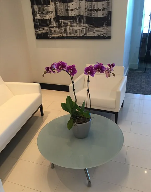 Tropical Plant Leasing