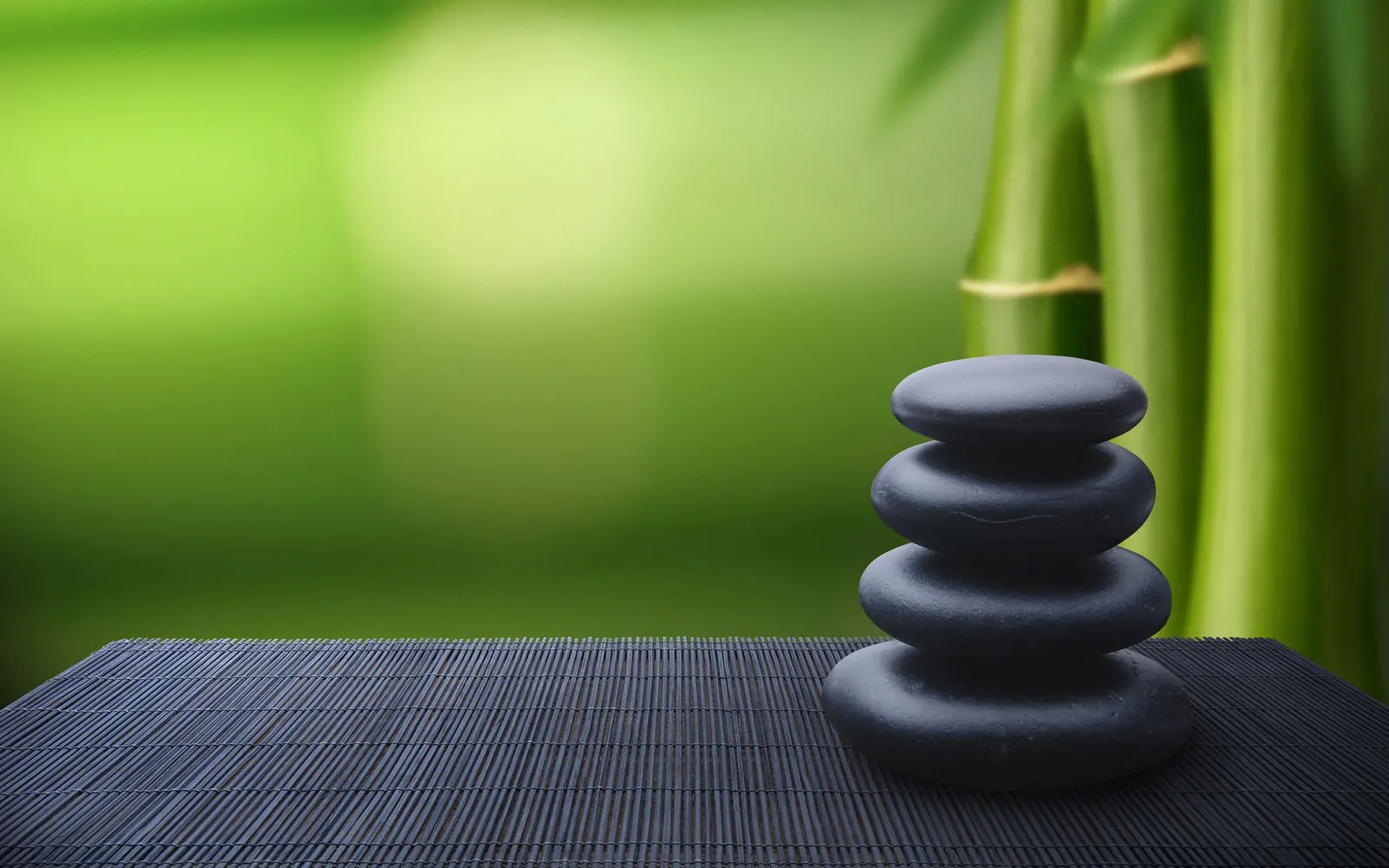 Holistic Health & Wellness