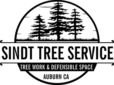 Sindt Tree Service logo