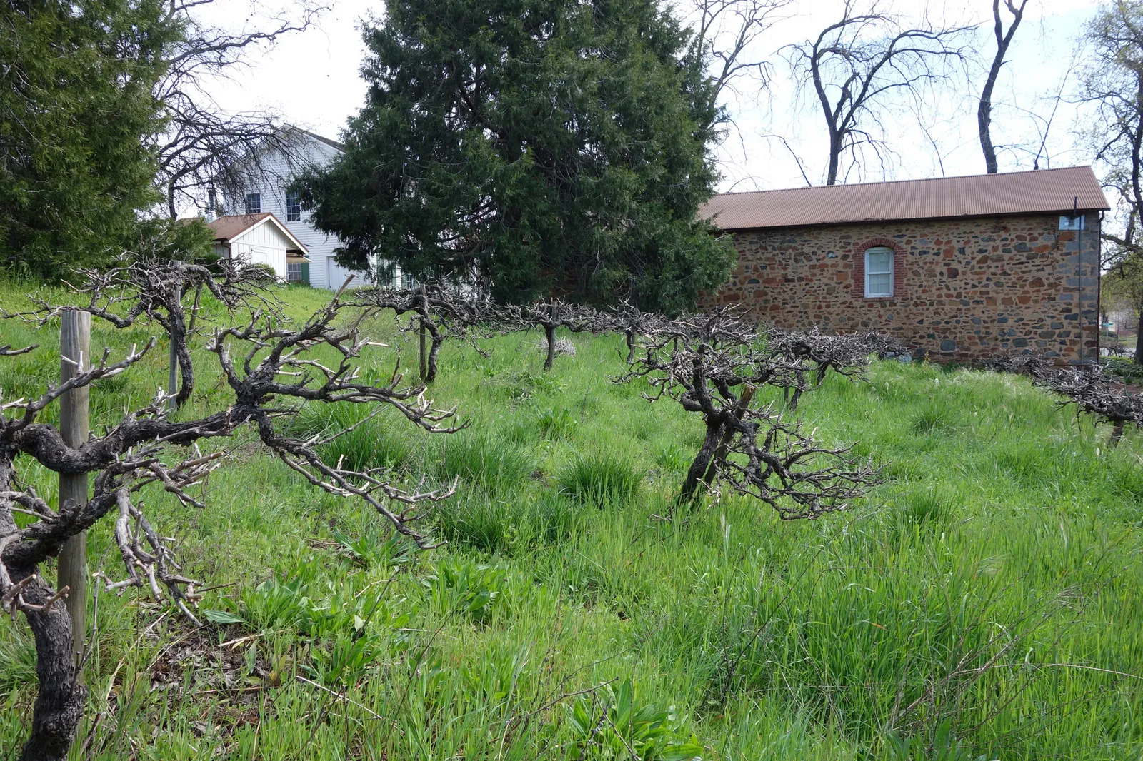 Bonitata Boutique Wine