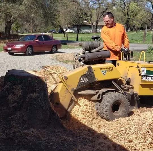 David's Stump Grinding