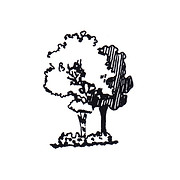 Landscape Supply logo