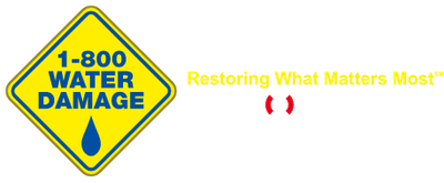 Peoria / Bloomington logo