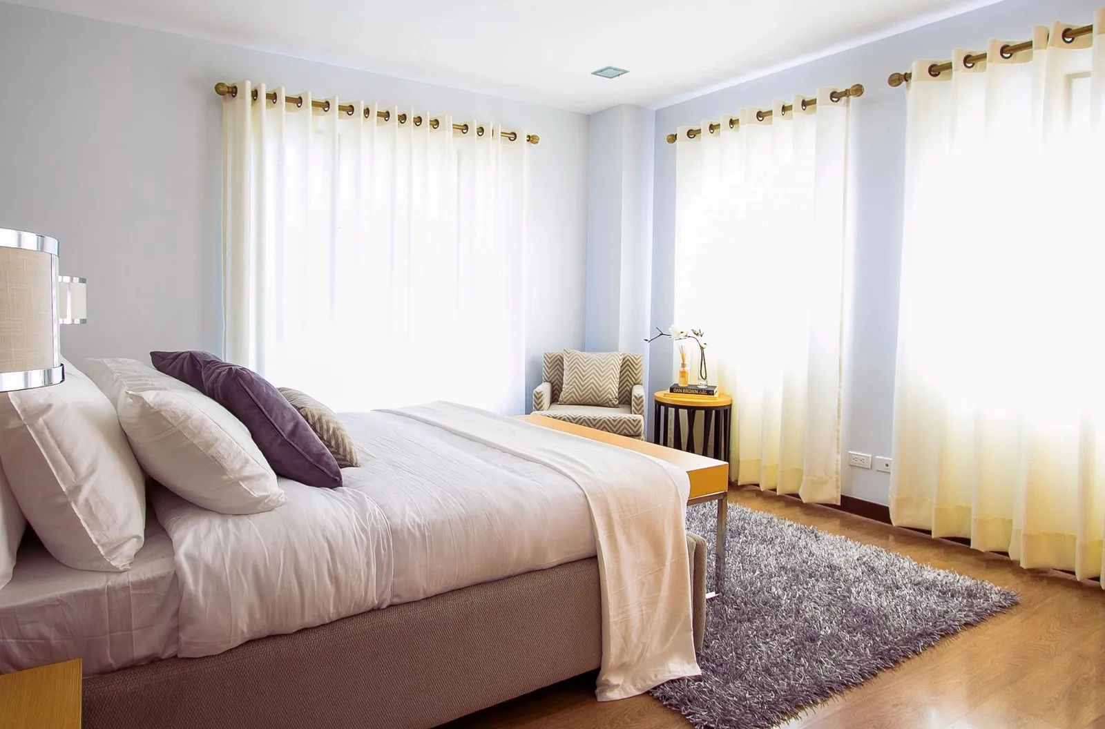 Integrated Bed Bug Removal Pittsburgh