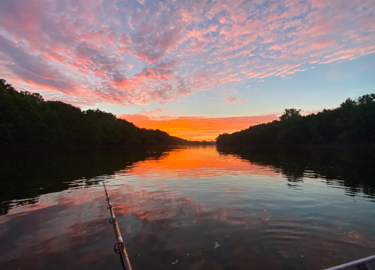 Lake Life Property Solutions