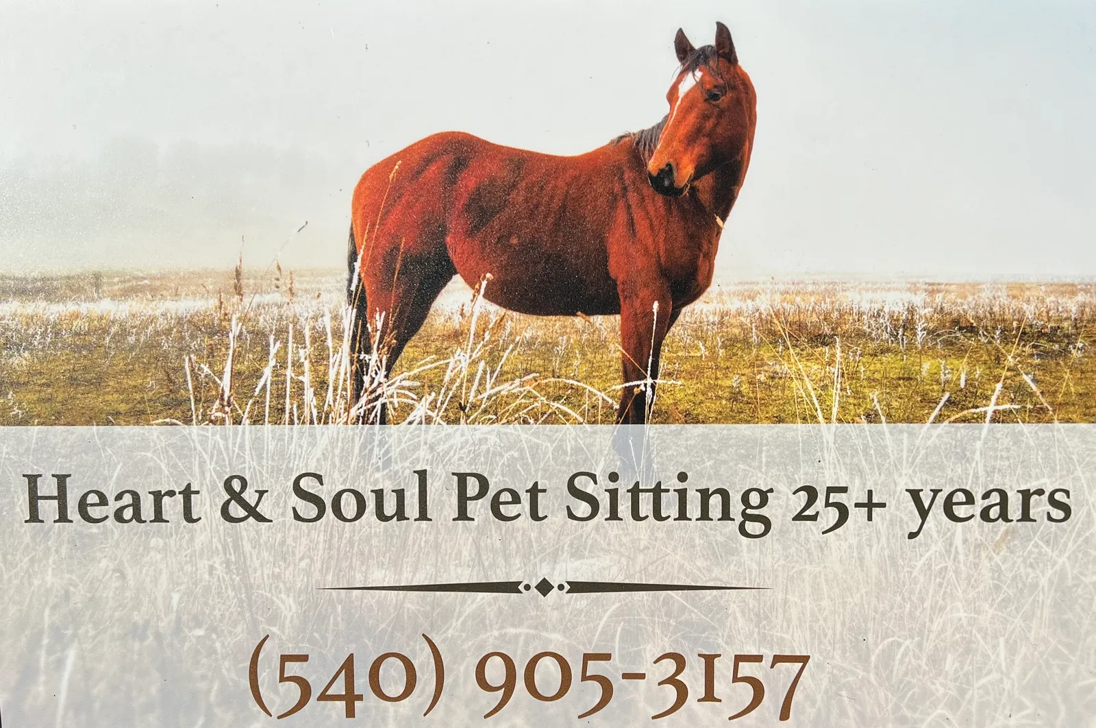 Heart N Soul Pet Sitting