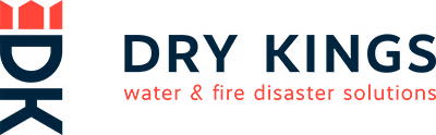 Dry Kings logo