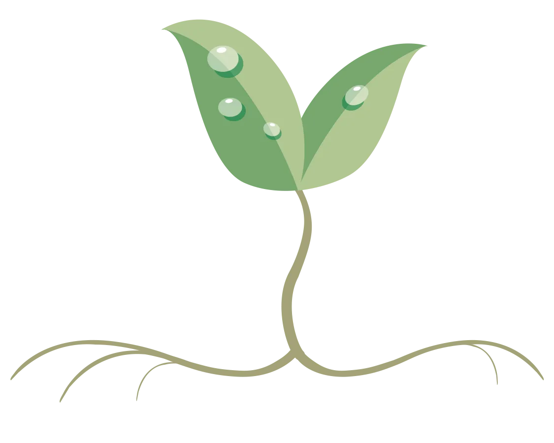 Wellness Roots Center