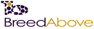 BreedAbove logo