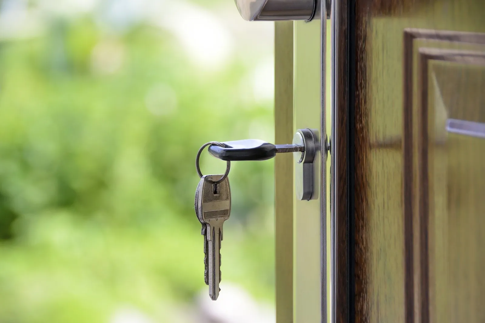 The Buyer's Broker