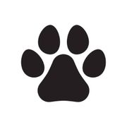 Bark Boutique LLC logo