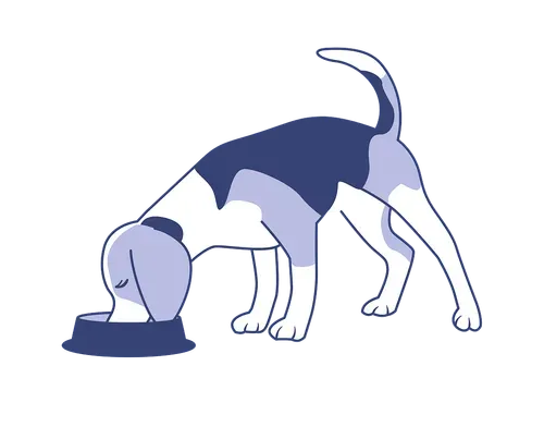 Karnik Pet Lodge