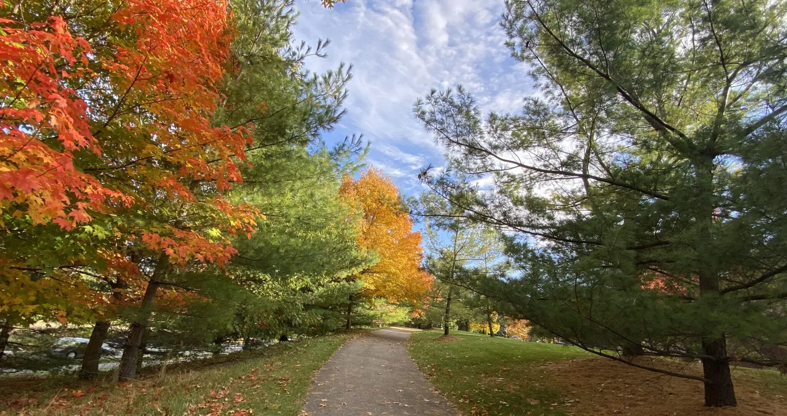 University Commons