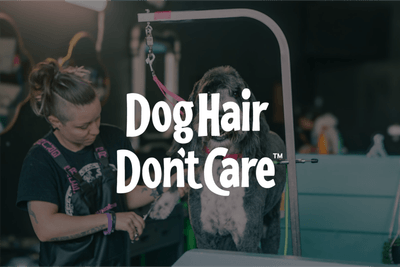 Dog Hair Don’t Care logo