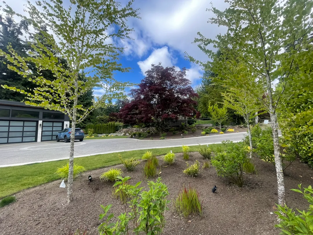 Bear Creek Landscaping & Construction