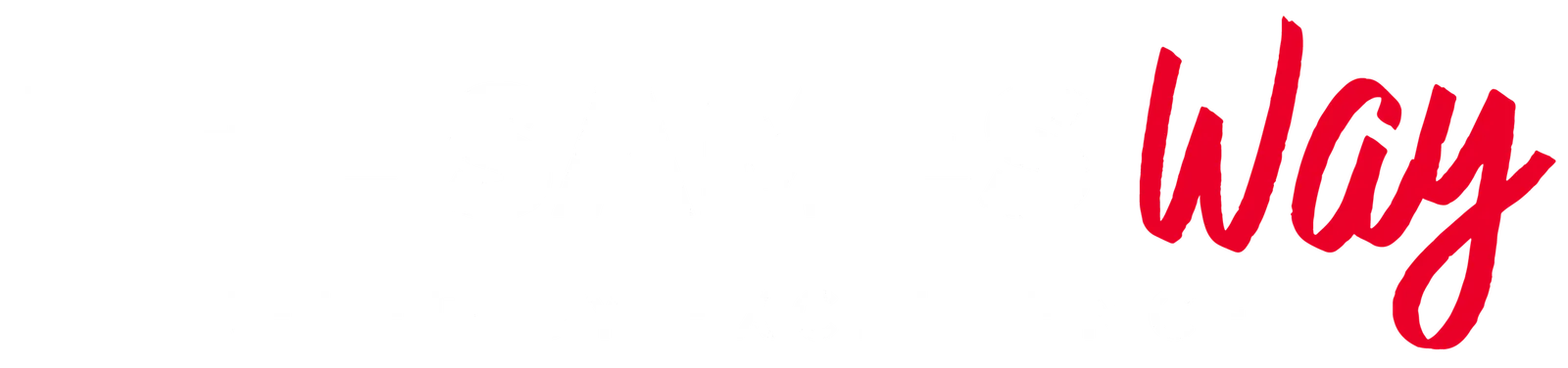 Sames Auto Group