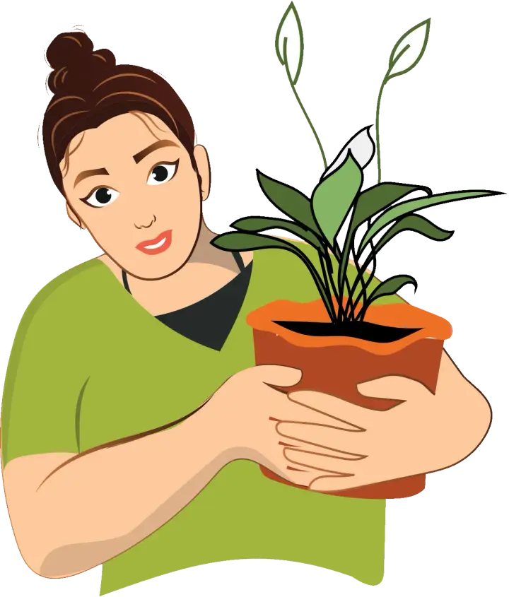PlanterSam
