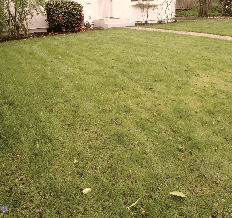 Myultragreen.Com