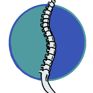 Cape Ann Community Chiropractic logo