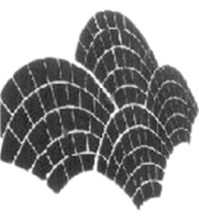 Deck-o-Art logo