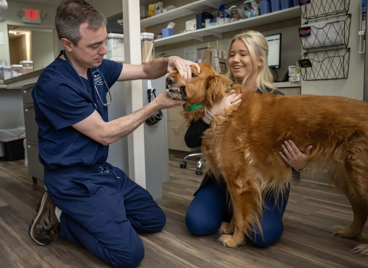 Five Forks Animal Hospital