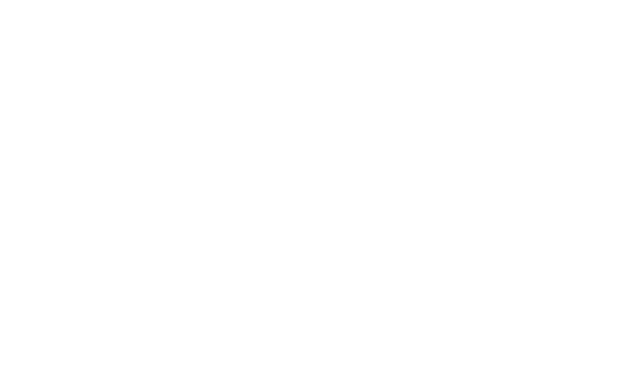 The Mitten Brewing Co