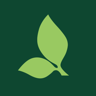 Morning Belle Brunch logo