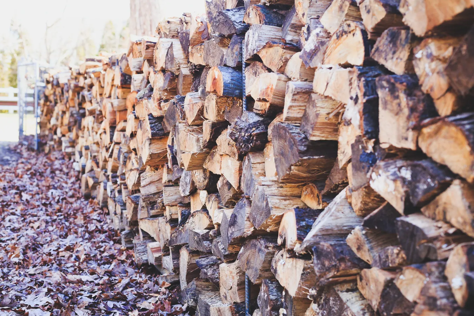 3Js Firewood