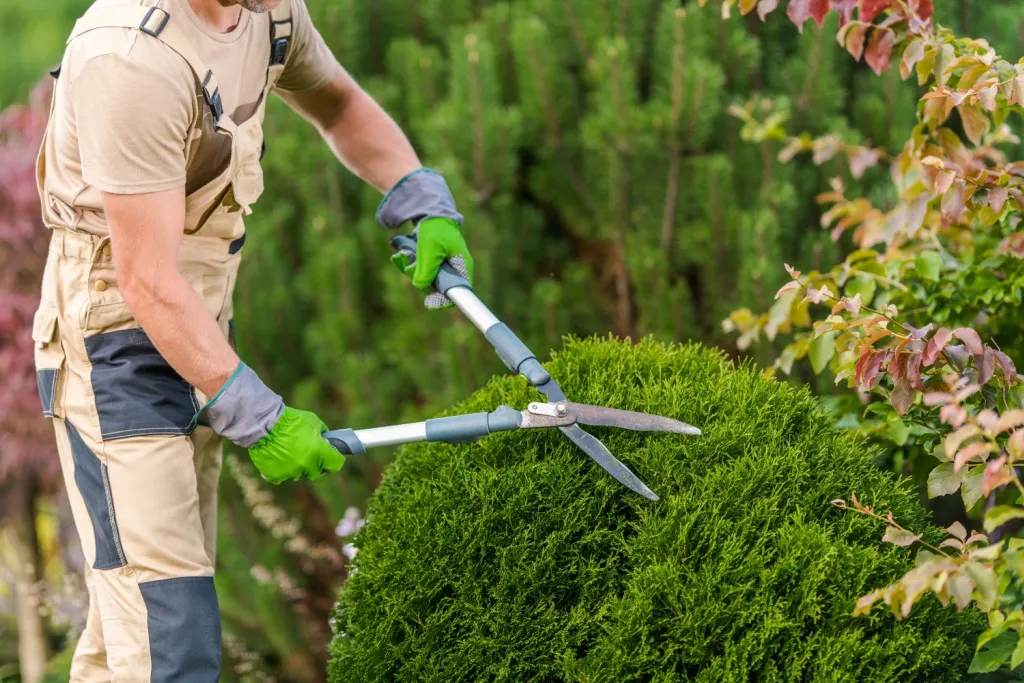 Extreme Landscaping & Lawns Care