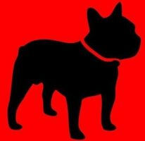 Bibis Pet Salon logo