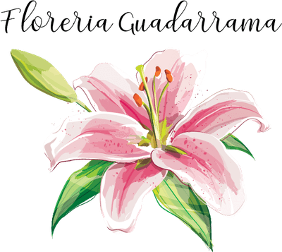 Floreria Guadarrama logo