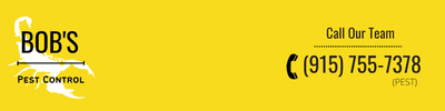 Bob logo