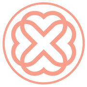 Blush Boutique & Spa logo
